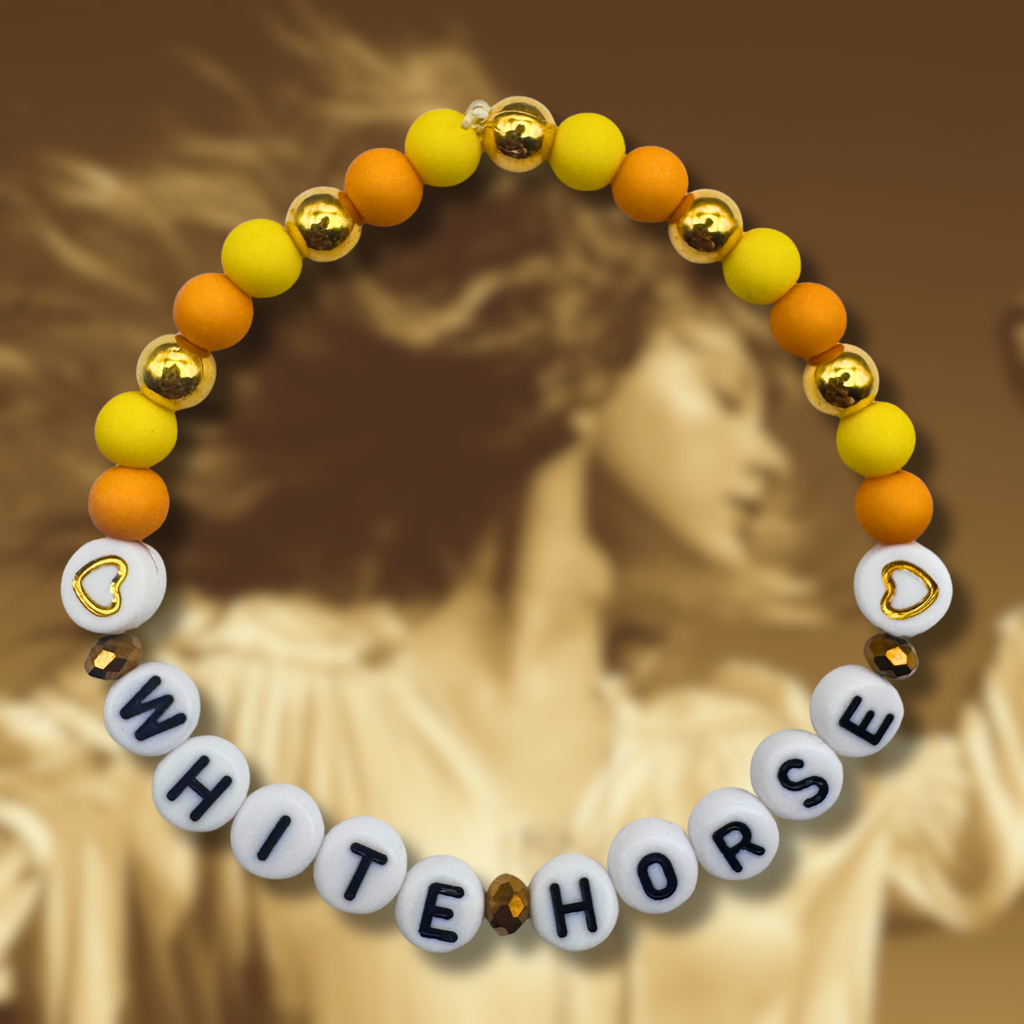 Taylor Swift Fearless Friendship Bracelets