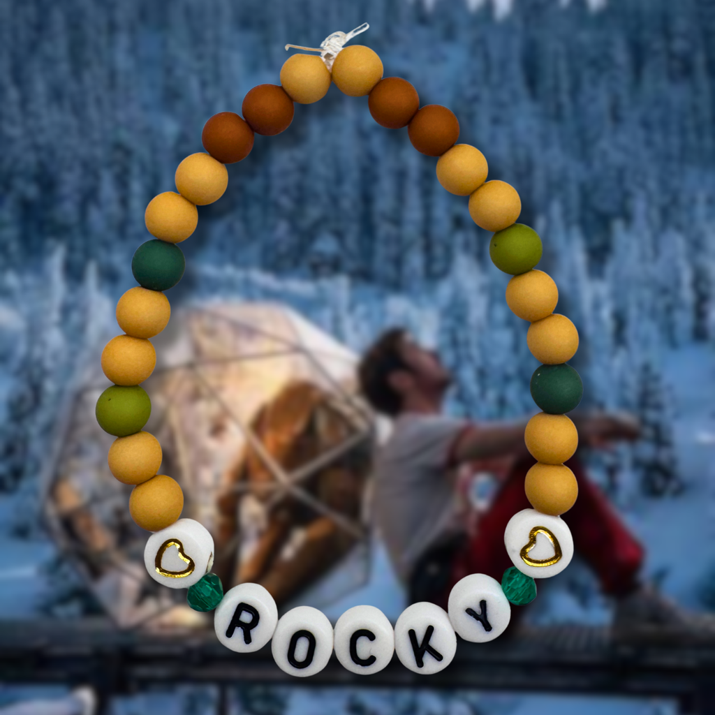 Project Hail Mary Friendship Bracelets